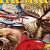 Cabela's Alaskan Adventures Xbox 360