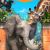 Zoo Tycoon Xbox 360