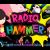 Radiohammer Nintendo 3DS