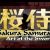 Sakura Samurai: Art of the Sword Nintendo 3DS