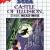 Castle of Illusion Starring Mickey Mouse (8 languages) Master System